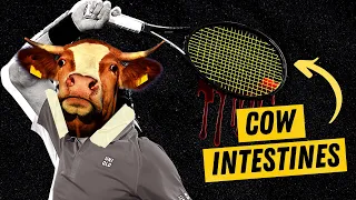 Why Tennis Strings are STILL Made of Cow Guts