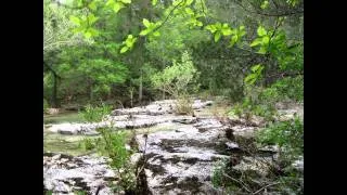 Hercules Glades Wilderness - The Falls