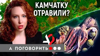 Камчатку отравили? Экологическая катастрофа в Тихом Океане // А поговорить?...