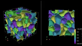 Phase field simulation of grain growth in polycrystal