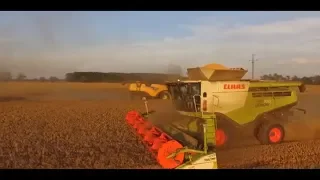 ☆Wielkie Żniwa W Firmie ☆ROLBUD☆2 Kombajny☆Claas&NewHolland