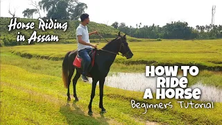 How To Ride A Horse | Beginners Tutorial | Horse Riding In Assam | First Ride Impression