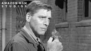 BIRDMAN OF ALCATRAZ (1962) | Learning To Fly | MGM