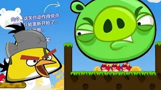 Angry Birds Cannon 3 - BLAST GIANT PIGGIES TO RESCUE STELLA FULL!