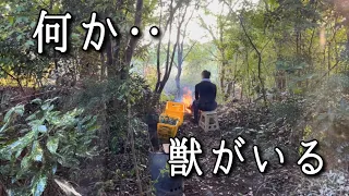 【移住07】初心者田舎暮らしの楽しい日常First time living in the countryside