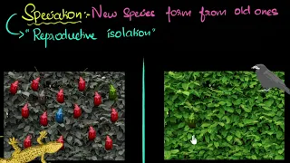 Speciation (with example) | Heredity & Evolution | Biology | Khan Academy