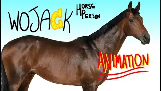 WOJACK HORSEPERSON - Bojack Horseman Parody Animation