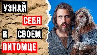 Почему хозяева похожи на своих питомцев