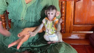 Cute Baby Boy Sit Looking Mom Cutting Vegetables