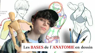 COMMENT apprendre les BASES de la PROPORTION en dessin ? [TUTO CORPS DE FACE]