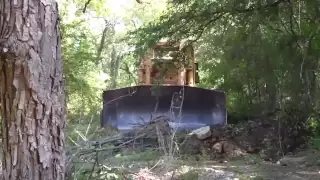 D9G Destroys Environment