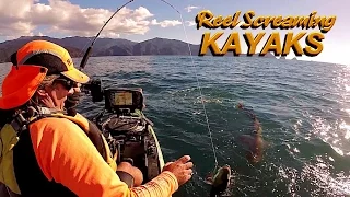 West Coast Albacore Tuna, Shark Eats Kingfish And Heavy Metal Jigging Tips - RSK Ep 7