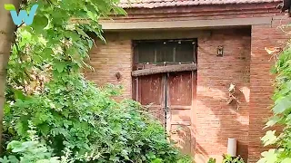 Wanting to surprise his fiancée, the young man renovated the dilapidated house in the countryside