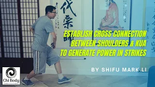 Establish Cross Connection Between the Shoulders & Kua to Generate Power in Strikes