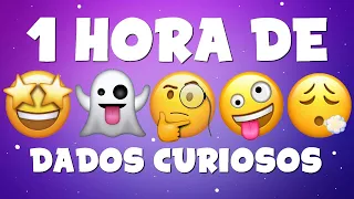 1 HORA DE DADOS CURIOSOS SEM PAUSAS (Fatos Insanos)