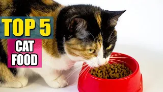 Best Cat Food in 2020 - Top 6 Cat Food Reviews