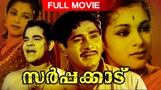 Evergreen Malayalam Movie | Sarppakkadu | Full Movie | Ft.Madhu, Sukumari, Ambika