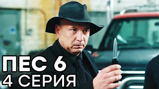 Сериал ПЕС 6 - 6 сезон - 4 серия - ВСЕ СЕРИИ смотреть онлайн | СЕРИАЛЫ ICTV