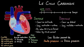 Le Cycle Cardiaque - Le Lub Dub d'un Battement de Cœur