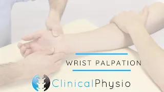 Wrist Joint Palpation | Clinical Physio