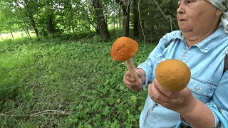 Супер грибочки!!! В лес по грибы и по малину 15 июля 2021