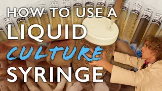 How to Use a Liquid Culture Syringe to Inoculate Grain Spawn: the First Step in Mushroom Cultivation