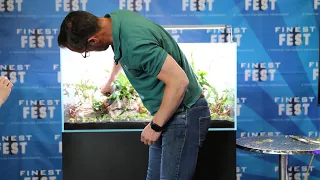 Live Aquascape Workshop at Finest Aquatics