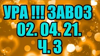 🌸Продажа орхидей. ( Завоз 02.04.21 г.) 3 ч. Отправка только по Украине. ЗАМЕЧТАТЕЛЬНЫЕ КРАСОТКИ👍