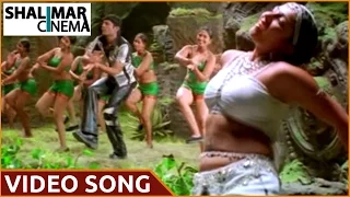 Sri Anjaneyam Movie || Avvayi Tuvvayi Video Song  || Nithin, Charmi