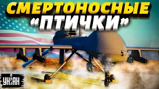 Кремль доигрался? США намерены передать Украине сверхмощные дроны