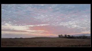 Virginia Landscape - Oil Painting Demonstration