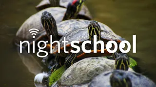 NightSchool: Introduced & On the Loose