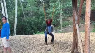 this is what happens when dad pushes the kid on the swing