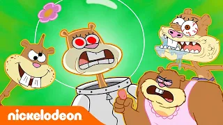 سبونج بوب | 30 دقيقة من أغرب لحظات ساندي! | Nickelodeon Arabia