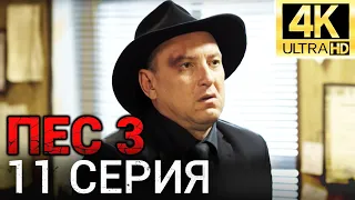 Сериал ПЕС 3 сезон - 11 серия - Все серии подряд в 4К - Смотреть онлайн в хорошем качестве