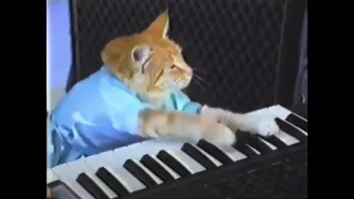Cat Plays Heil dir im Siegerkranz On Piano.