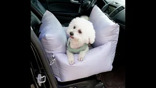 Dog Car Seat Bed Central Control Nonslip Pet Carriers Travel Safe Car Armrest Booster Kennel Bed