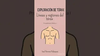 Líneas y regiones del tórax. Exploración de tórax