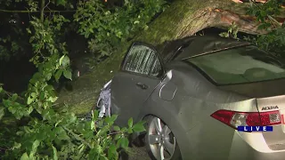 Overnight storms leave behind damage in Chicago area