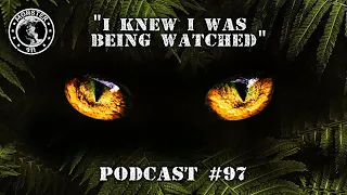 "I Knew I Was Being Watched!" - Security Guard Cryptid Sighting Interview - Monster 911 Podcast #97