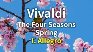 Vivaldi: Violin Concerto, Op.8 No.1, RV 269 La primavera ("Spring") - I. Allegro | Free Sheet Music