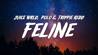 Juice WRLD - Feline (Lyrics) ft. Polo G & Trippie Redd