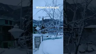 #Snowy winters in #Sangla, Himachal Pradesh