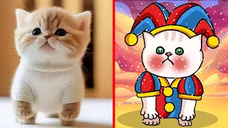 30 minutes of Funny Cats and Dogs Videos 😅 GINGER CAT 🐱 when your cat look like clown 😸🐶 Part 11
