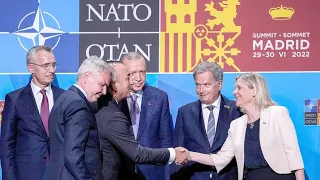 ZDF | Erdogan's Forderung in der NATO - Schweden & Finnland
