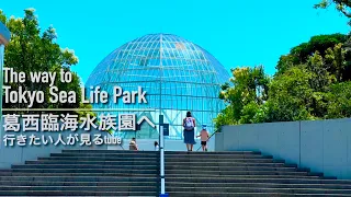 🐬【4K】葛西臨海水族園へご案内【行き方/アクセス/水族館】The way to Tokyo Sea Life Park.Aquarium🇯🇵Tokyo Travel.東京観光