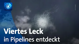 Schwedische Küstenwache meldet viertes Leck an Ostsee-Pipelines