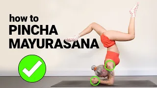 How To: Pincha Mayurasana - Forearm Stand for Beginners