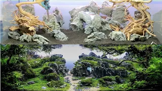 Aquascaping aquarium Frontera - Step-by-step forestscape & mountainscape tutorial