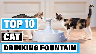 Best Cat Drinking Fountain In 2024 - Top 10 Cat Drinking Fountains Review